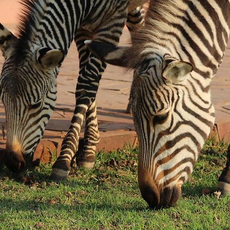 We Kebi Safari Lodge سيسريم المظهر الخارجي الصورة